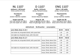 1107, Kleider: 1 - einfach