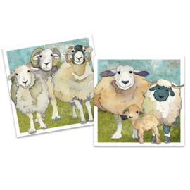 Emma Ball - Kaarten set - Felted Sheep