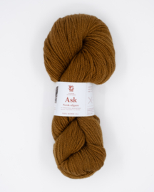 Ask – Gulbrun 6093