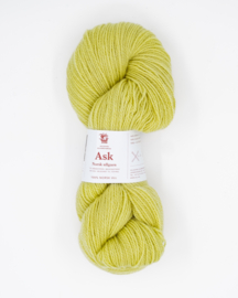 Ask - Lys Lime 6120