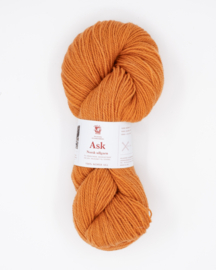 Ask - Oker 6133