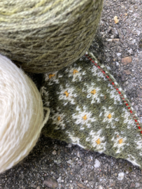 Daisy shawl