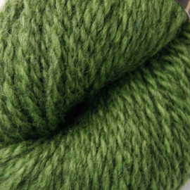Blåne - Gressgrønn 2134