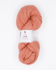 Ask – Blek Rosa 6108