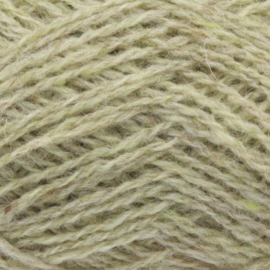 Spindrift - 1130 Lichen