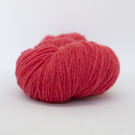 Vilje – Korall 427
