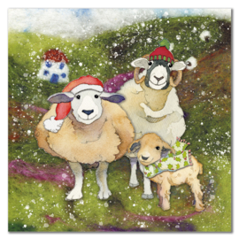 Emma Ball - Kerstkaarten set - Felted Sheep