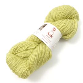 Ask - Lys Lime 6120