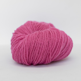 Vilje – Rosa 447