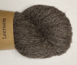 Leersum 270 Baggerbont