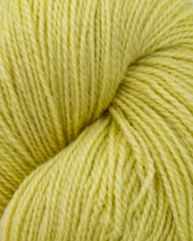 Ask - Lys Lime 6120