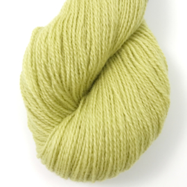 Ask - Lys Lime 6120