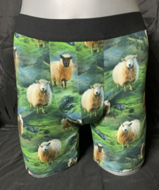 Herenboxers