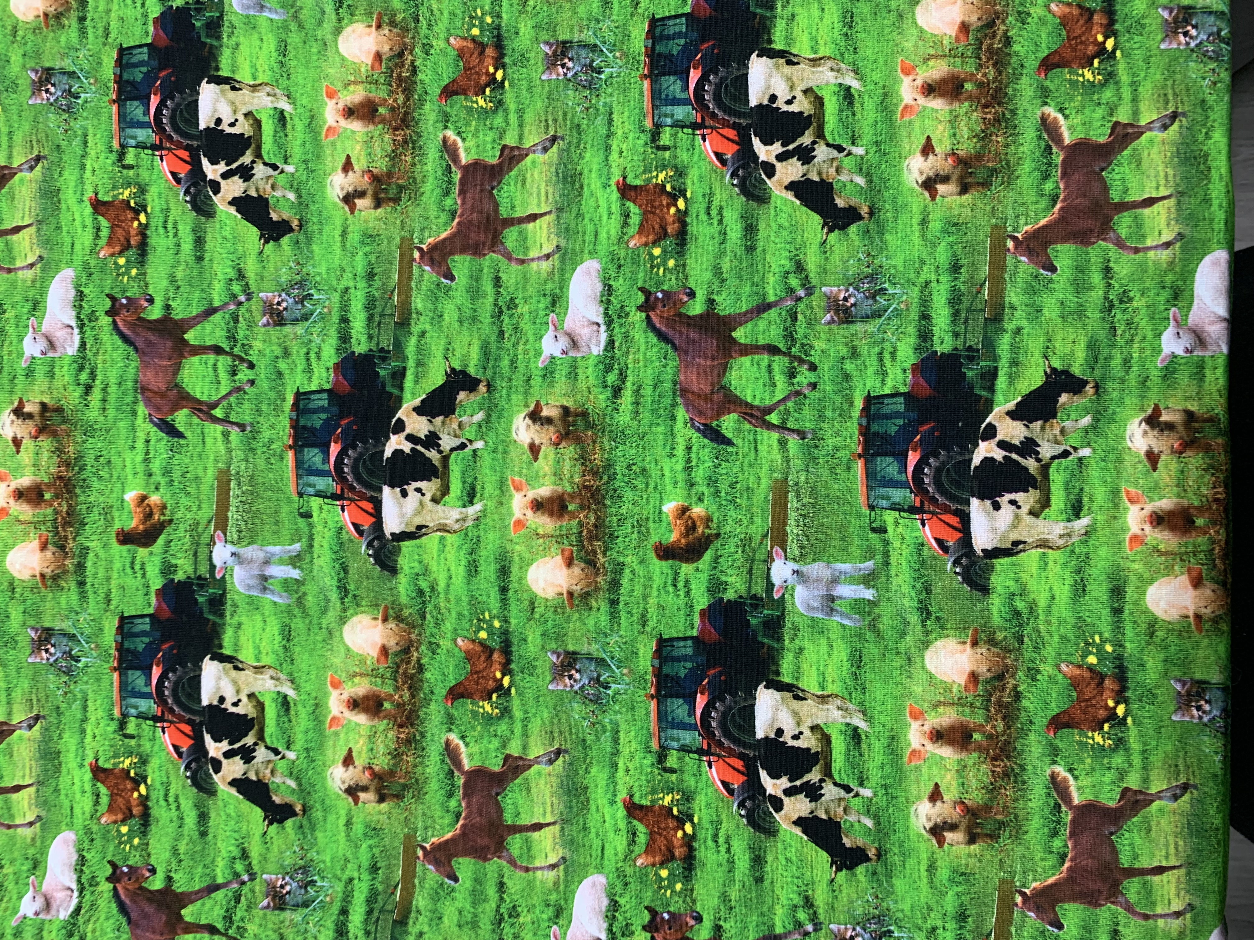 Boerderij