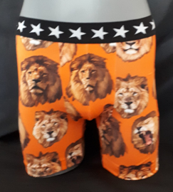 oranje leeuwen