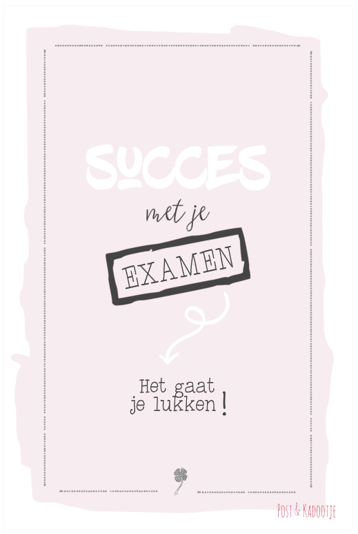 Hedendaags Postkaart || Succes met je examen ||Roze | Postkaart algemeen BJ-76
