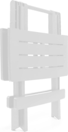 Klaptafel - Bijzettafel - Kunststof Campingtafel - 45x43x50cm  HG0045
