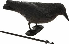 Raaf vogelverschrikker zwart  DD2350