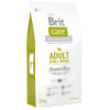 Brit care adult small lam & rijst 3kg