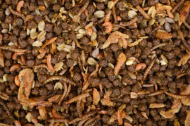 Egelvoer met insecten 2,5L
