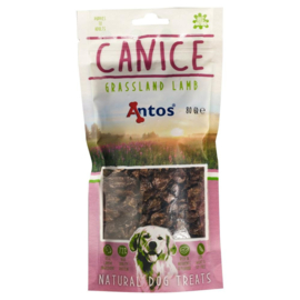 Canice lam trainers 80gr