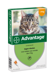 Advantage kat