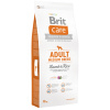 Brit care medium lam & rijst 3kg