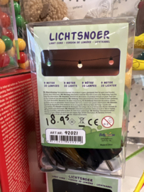 Carnavals verlichting 20 lampjes