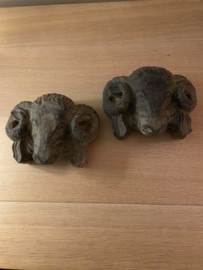 rammen hoofdje