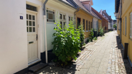 De omgeving van Assens
