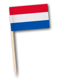Flag skewer Dutch 500 pcs