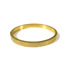 Stainless steel bangle in goud | Glitter Big