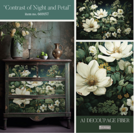 Contrast of Night and Petal |  84 x 59.5 cm