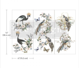 Redesign  Transfer Rare Birds