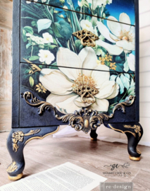 Contrast of Night and Petal |  84 x 59.5 cm