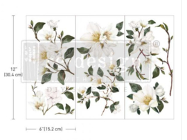 Redesign  Transfer White Magnolia