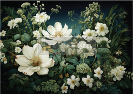 Contrast of Night and Petal |  84 x 59.5 cm