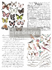 Redesign Transfer Parisian Butterflies