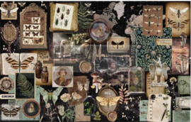 Herbarium Notes | 49,5 cm x 76 cm