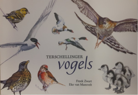 Terschellinger Vogels