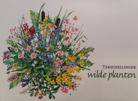 Terschellinger Wilde planten