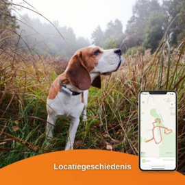 weenect gps voor hond