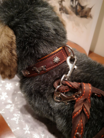 Set lederen halsband met edelweiss (orange)  edelweis ( 35 cm) en  bijpassende lijn, hand gemaakt