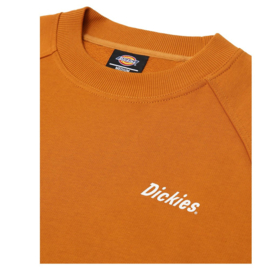 DICKIES BETTLES SWEATSHIRT PUMPKIN SPICE