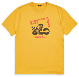 BRIXTON STRANGE DAYS T SHIRT MAIZE