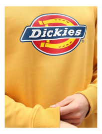 DICKIES PITTSBURGH SWEATER APRICOT