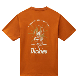 DICKIES BETTLES T-SHIRT PUMPKIN SPICE