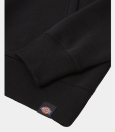 DICKIES TAYLOR HOODIE BLACK