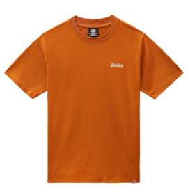 DICKIES BETTLES T-SHIRT PUMPKIN SPICE