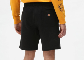 DICKIES CHAMPLIN SHORTS BLACK